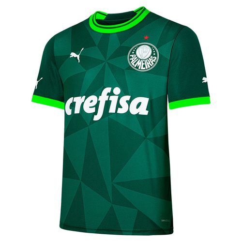 Camisa Puma Palmeiras Torcedor Masculino